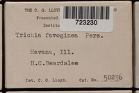 Image Associated With the Occurence